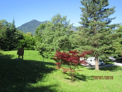 Cliquez pour découvrir toutes les photos de l'ÉTABLISSEMENT ! camping Le Rey photo 19