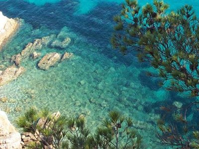 Cliquez pour découvrir toutes les photos de l'ÉTABLISSEMENT ! camping Lou Cabasson photo 23