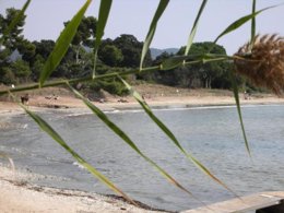 Camping Pas Cher vous présente avec son site Officiel campingpascher.fr, le Camping Lou Cabasson classé 3 étoiles, situé sur la commune de Bormes Les Mimosas dans le département Var (Provence Alpes Côte D'azur) en France. Le camping Lou Cabasson, vous présente un hébergement de type mobil-home de 32 m² pour 1 personne avec climatisation. Le camping Lou Cabasson vous propose du sam. 25 avril au sam. 02 mai 2026 pour 7 nuits à 640€. Cette location propose 134 dates différentes pour réserver votre séjour. Découvrez également les 16 autres gammes d'hébergements du camping. Les Avis clients pour le Camping Lou Cabasson sont excellents avec une note moyenne de 8 sur 10. Piscine extérieure, Animations familiales, Aire de jeux enfants, Ping-pong, Randonnée, Dépôt de pain, Pizzeria, Restaurant,... En savoir plus : cliquez-ICI.