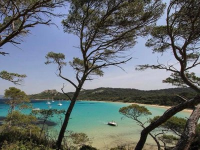 Cliquez pour découvrir toutes les photos de l'ÉTABLISSEMENT ! camping La Brulade photo 12