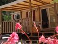 Cliquez pour découvrir toutes les photos de l'HÉBERGEMENT ! mobil-home - camping La Brulade photo 2