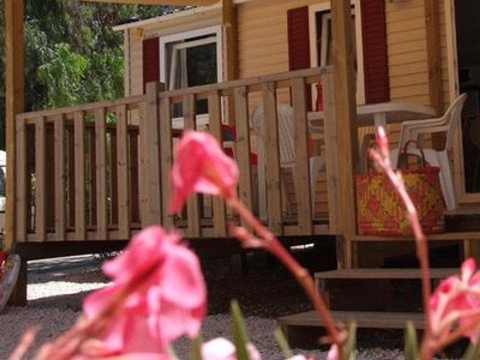 Cliquez pour découvrir toutes les photos de l'HÉBERGEMENT ! mobil-home - camping La Brulade photo 2