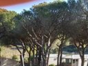 camping Figurotta photo 9