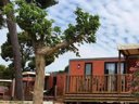 Cliquez pour découvrir toutes les photos de l'HÉBERGEMENT ! mobil-home - camping De Ceyreste photo 1