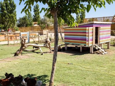 Cliquez pour découvrir toutes les photos de l'ÉTABLISSEMENT ! camping Méditerranée Plage photo 14