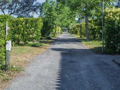 Cliquez pour découvrir toutes les photos de l'ÉTABLISSEMENT ! camping De Montolieu photo 15
