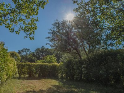 Cliquez pour découvrir toutes les photos de l'ÉTABLISSEMENT ! camping De Montolieu photo 19