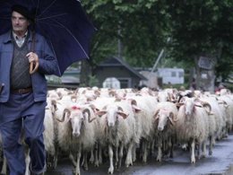 Camping Pas Cher vous présente avec son site Officiel campingpascher.fr, le Camping Beau Rivage classé 3 étoiles, situé sur la commune de Navarrenx dans le département Pyrénées-atlantiques (Aquitaine) en France. Le camping Beau Rivage, vous présente un hébergement de type chalet de 34 m² pour 6 personnes avec climatisation et télévision. Le camping Beau Rivage vous propose du sam. 19 septembre au sam. 26 septembre 2026, en promotion à -20% pour 7 nuits à 392 € au lieu de 490,0 € soit une Économie de 98 €. Cette location propose 123 dates différentes pour réserver votre séjour. Découvrez également les 9 autres gammes d'hébergements du camping. Les Avis clients pour le Camping Beau Rivage sont excellents avec une note moyenne de 8 sur 10. Rivière, Piscine extérieure, Animations familiales, Aire de jeux enfants, Canoë-kayak, Court de tennis, Ping-pong, Rafting, Terrain multisports, Bar, Plats à emporter, Snack/Bar, Épicerie,... En savoir plus : cliquez-ICI.