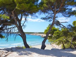 Camping Pas Cher vous présente avec son site Officiel campingpascher.fr, le Camping La Source classé 3 étoiles, situé sur la commune de Martigues dans le département Bouches-du-rhône (Provence Alpes Côte D'azur) en France. Le camping La Source, vous présente un hébergement de type chalet de 20 m² avec climatisation et télévision. Le camping La Source vous propose du sam. 05 septembre au sam. 12 septembre 2026 pour 7 nuits à 423.5€. Cette location propose 60 dates différentes pour réserver votre séjour. Découvrez également les 8 autres gammes d'hébergements du camping. Mer, Aire de jeux enfants, Parcours sportif, Ping-pong, Plongée, Pétanque, Terrain multisports, Bureau de tabac, Dépôt de pain, Pizzeria, Restaurant, Snack/Bar, Station-service, Supermarché, Épicerie,... En savoir plus : cliquez-ICI.