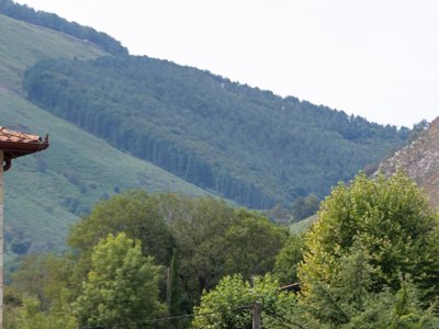 camping D'Ibarron photo 24