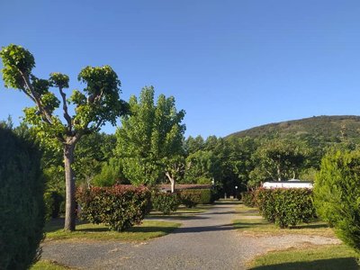camping D'Ibarron photo 6