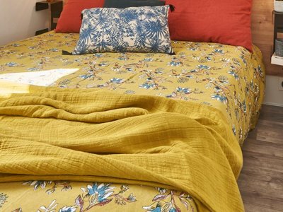 Cliquez pour découvrir toutes les photos de l'HÉBERGEMENT ! mobil-home - Flower De La Corniche photo 11