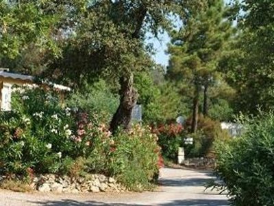 Cliquez pour découvrir toutes les photos de l'HÉBERGEMENT ! mobil-home - Domaine De La Bergerie photo 4