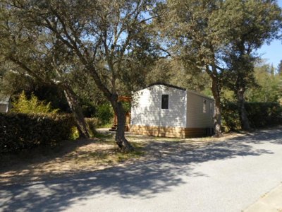 Cliquez pour découvrir toutes les photos de l'HÉBERGEMENT ! mobil-home - Domaine De La Bergerie photo 3