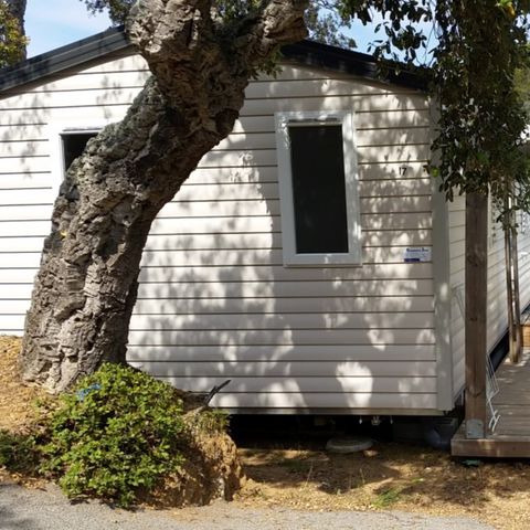 Cliquez pour découvrir toutes les photos de l'HÉBERGEMENT ! mobil-home - Les Lauriers Roses photo 2