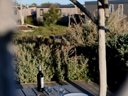 Cliquez pour découvrir toutes les photos de l'HÉBERGEMENT ! mobil-home - camping Les Bois Flottés photo 6