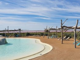 Camping Pas Cher vous présente avec son site Officiel campingpascher.fr, le Camping Les Bois Flottés classé 3 étoiles, situé sur la commune de Salin De Giraud dans le département Bouches-du-rhône (Provence Alpes Côte D'azur) en France. Le camping Les Bois Flottés, vous présente un hébergement de type tente de 17 m². Le camping Les Bois Flottés vous propose du vendredi 05 juin au vendredi 12 juin 2026 avec un DÉPART DEMAIN pour 7 nuits à 504€. Cette location propose 93 dates différentes pour réserver votre séjour. Découvrez également les 24 autres gammes d'hébergements du camping. Les Avis clients pour le Camping Les Bois Flottés sont excellents avec une note moyenne de 8 sur 10. Mer, Piscine extérieure, Animations familiales, Aire de jeux enfants, Centre équestre, Pétanque, Bar, Dépôt de pain, Plats à emporter, Snack/Bar,... En savoir plus : cliquez-ICI.