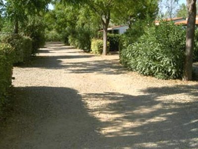 chalet - Domaine De Montrose photo 2