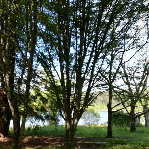 Cliquez pour découvrir toutes les photos de l'HÉBERGEMENT ! gîte - Les Reflets Du Lac photo 5