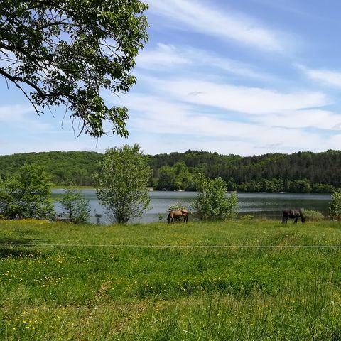Cliquez pour découvrir toutes les photos de l'HÉBERGEMENT ! gîte - Les Reflets Du Lac photo 3