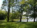 Cliquez pour découvrir toutes les photos de l'HÉBERGEMENT ! gîte - établissement Les Reflets Du Lac photo 2