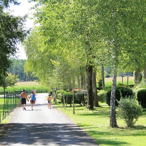 Cliquez pour découvrir toutes les photos de l'ÉTABLISSEMENT ! établissement L'Orée Du Bois By Noricamp photo 4