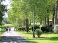 Cliquez pour découvrir toutes les photos de l'ÉTABLISSEMENT ! établissement L'Orée Du Bois By Noricamp photo 4