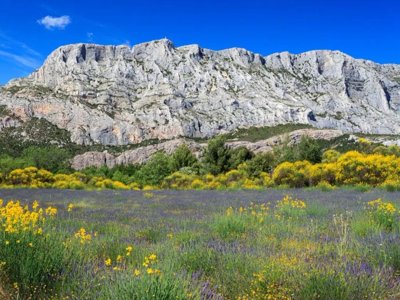 Cliquez pour découvrir toutes les photos de l'ÉTABLISSEMENT ! camping Sainte Victoire photo 5