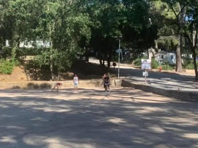 Cliquez pour découvrir toutes les photos de l'ÉTABLISSEMENT ! camping La Foux photo 3