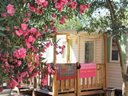 Cliquez pour découvrir toutes les photos de l'HÉBERGEMENT ! mobil-home - camping La Foux photo 2
