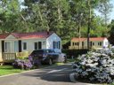 Camping Pas Cher vous présente avec son site Officiel campingpascher.fr, le Camping Lou P'tit Poun classé 4 étoiles, situé sur la commune de Saint Martin De Seignanx dans le département Landes (Aquitaine) en France. Le camping Lou P'tit Poun, vous présente un hébergement de type mobil-home de 32 m² pour 6 personnes. Le camping Lou P'tit Poun vous propose du jeudi 30 avril au jeudi 07 mai 2026, en promotion à -10% pour 7 nuits à 441 € au lieu de 490,0 € soit une Économie de 49 €. Cette location propose 83 dates différentes pour réserver votre séjour. Découvrez également les 6 autres gammes d'hébergements du camping. Les Avis clients pour le Camping Lou P'tit Poun sont excellents avec une note moyenne de 8 sur 10. Mer, Piscine chauffée, Piscine couverte, Animations familiales, Club enfants, Aire de jeux enfants, Canoë-kayak, Cyclisme, Golf, Ping-pong, Pétanque, Randonnée, Surf, Terrain multisports, Bar, Boulangerie, Bureau de tabac, Dépôt de pain, Snack/Bar, Station-service, Supermarché,... En savoir plus : cliquez-ICI.