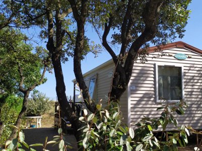 Cliquez pour découvrir toutes les photos de l'HÉBERGEMENT ! mobil-home - L'oliveraie photo 7