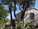 Cliquez pour découvrir toutes les photos de l'HÉBERGEMENT ! mobil-home - camping L'oliveraie photo 7