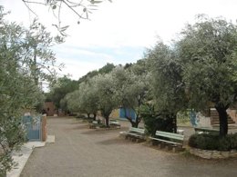 Camping Pas Cher vous présente avec son site Officiel campingpascher.fr, le Camping L'oliveraie classé 3 étoiles, situé sur la commune de Laurens dans le département Hérault (Languedoc Roussillon) en France. Le camping L'oliveraie, vous présente un hébergement de type chalet de 35 m² pour 7 personnes avec climatisation. Le camping L'oliveraie vous propose du dimanche 05 avril au dimanche 12 avril 2026 pour 7 nuits à 610€. Cette location propose 107 dates différentes pour réserver votre séjour. Découvrez également les 11 autres gammes d'hébergements du camping. Les Avis clients pour le Camping L'oliveraie sont excellents avec une note moyenne de 8 sur 10. Mer, Piscine extérieure, Animations familiales, Club enfants, Aire de jeux enfants, Baby-foot, Canoë-kayak, Court de tennis, Parcours sportif, Ping-pong, Pétanque, Salle de jeux vidéo, Structure gonflable enfants, Terrain de beach-volley, Terrain de football, Terrain multisports, Bar, Dépôt de pain, Pizzeria, Snack/Bar, Épicerie,... En savoir plus : cliquez-ICI.