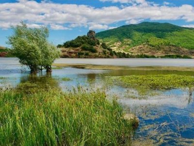 Cliquez pour découvrir toutes les photos de l'ÉTABLISSEMENT ! camping L'évasion Hérault photo 18