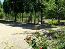 Cliquez pour découvrir toutes les photos de l'ÉTABLISSEMENT ! camping L'évasion Hérault photo 10