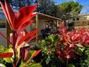 Cliquez pour découvrir toutes les photos de l'HÉBERGEMENT ! mobil-home - camping L'évasion Hérault photo 5