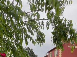 Camping Pas Cher vous présente avec son site Officiel campingpascher.fr, le Camping Les Floralies classé 3 étoiles, situé sur la commune de Montauroux dans le département Var (Provence-alpes-côte D'azur) en France. Le camping Les Floralies vous propose un hébergement de type mobil-home de 31 m² avec climatisation. L'établissement vous propose 12 autres types d'hébergements. Découvrez tous nos séjours à petits prix dans la commune et aux alentours de Montauroux du département : Var (Provence-alpes-côte D'azur). Les Avis clients pour le Camping Les Floralies sont excellents avec une note moyenne de 8 sur 10. Piscine chauffée, Piscine extérieure, Animations familiales, Aire de jeux enfants, Baby-foot, Court de tennis, Ping-pong, Plongée, Pétanque, Boulangerie, Bureau de tabac, Dépôt de pain, Plats à emporter, Snack/Bar, Station-service,... En savoir plus : cliquez-ICI.