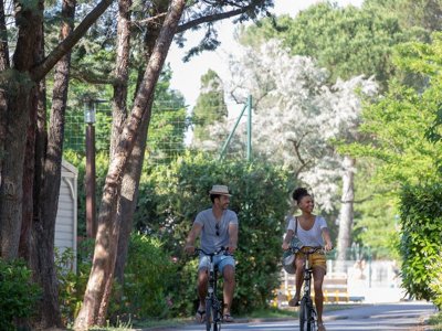 Cliquez pour découvrir toutes les photos de l'ÉTABLISSEMENT ! camping Sandaya - Le Plein Air Des Chênes photo 22
