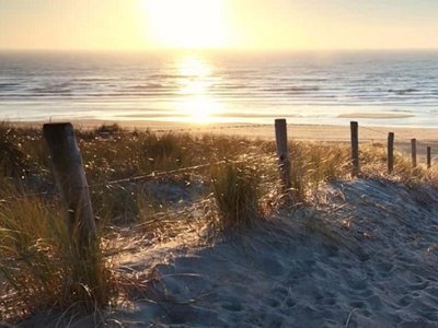 Cliquez pour découvrir toutes les photos de l'ÉTABLISSEMENT ! établissement Flower Le Fou Du Roi photo 29
