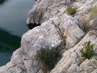 Cliquez pour découvrir toutes les photos de l'ÉTABLISSEMENT ! camping Le Mas De L'isle photo 30