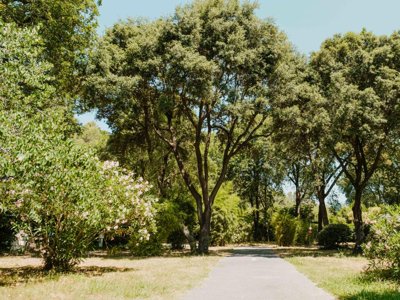 Cliquez pour découvrir toutes les photos de l'ÉTABLISSEMENT ! camping Routes Du Monde - Val Fleuri photo 15