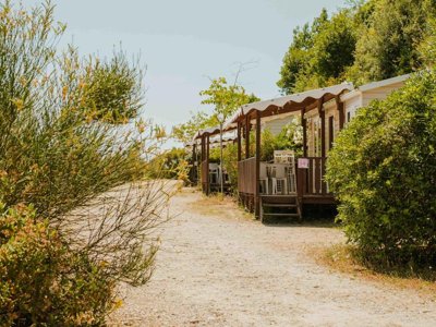 Cliquez pour découvrir toutes les photos de l'ÉTABLISSEMENT ! camping Routes Du Monde - Val Fleuri photo 4