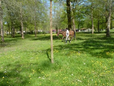 Cliquez pour découvrir toutes les photos de l'ÉTABLISSEMENT ! établissement Le Bascat photo 3