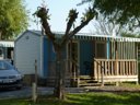 Cliquez pour découvrir toutes les photos de l'HÉBERGEMENT ! mobilhome - établissement Le Bascat photo 1