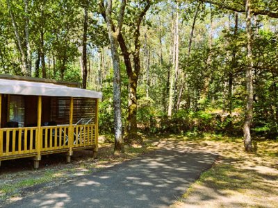 Cliquez pour découvrir toutes les photos de l'HÉBERGEMENT ! mobil-home - L'Etang D'Ardy photo 2