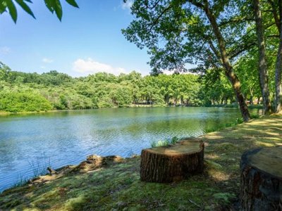 Cliquez pour découvrir toutes les photos de l'ÉTABLISSEMENT ! camping L'Etang D'Ardy photo 20