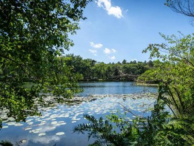 Cliquez pour découvrir toutes les photos de l'ÉTABLISSEMENT ! camping L'Etang D'Ardy photo 22