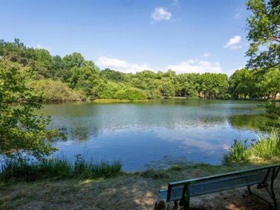 Cliquez pour découvrir toutes les photos de l'ÉTABLISSEMENT ! camping L'Etang D'Ardy photo 25