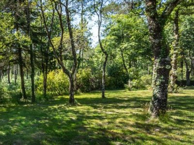Cliquez pour découvrir toutes les photos de l'ÉTABLISSEMENT ! camping L'Etang D'Ardy photo 28